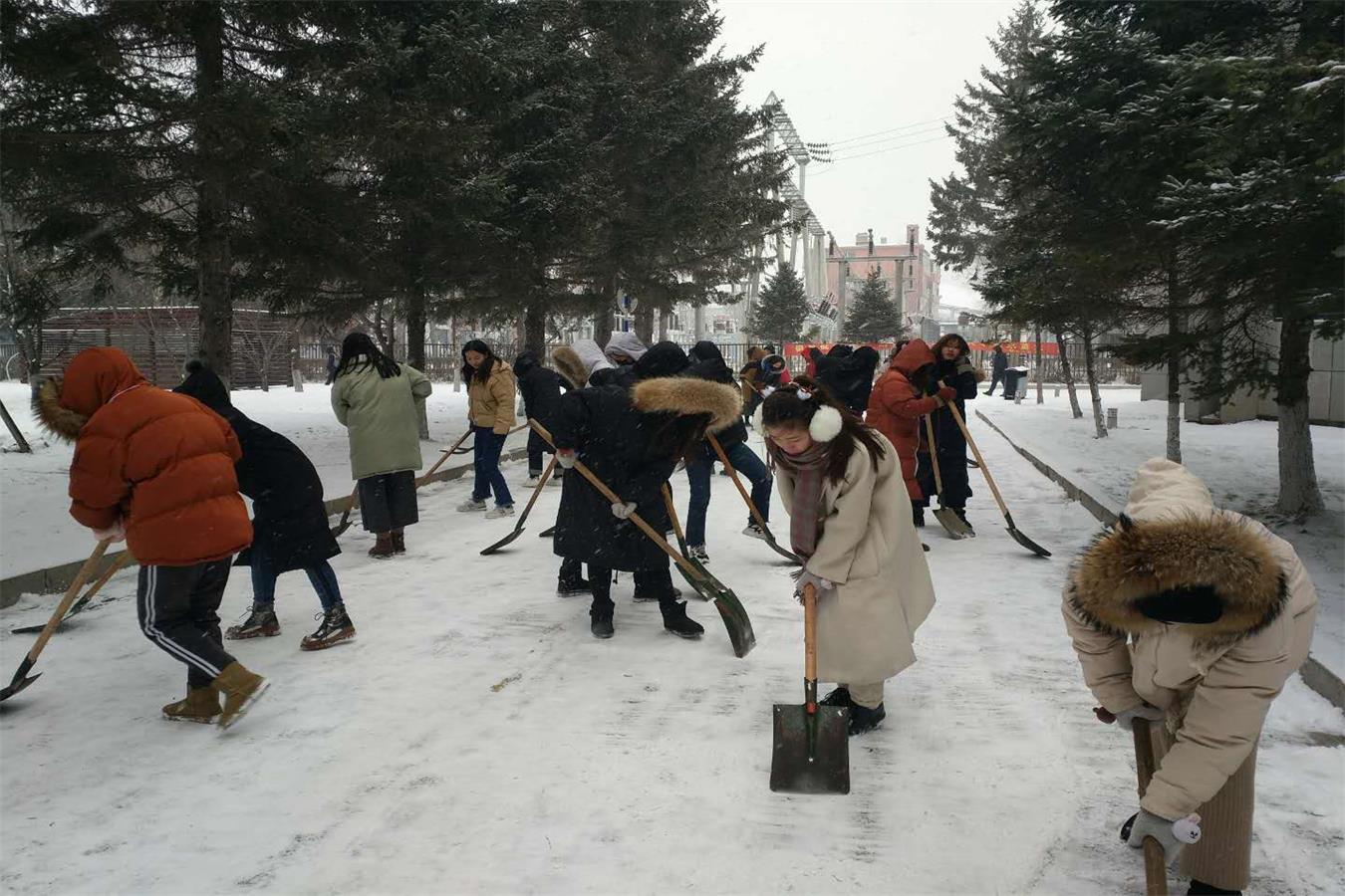 媒体记媒体技术与传播系集体扫雪活动
